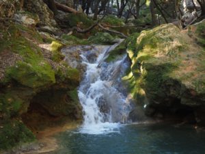 salt of joy, waterfall, bach-1117720.jpg